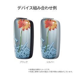 プルームエックス フロントパネル とんだ林蘭モデル＜全4種＞| CLUB JT 